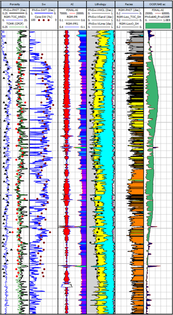 Petrophysical Interpretation Logs | TGS